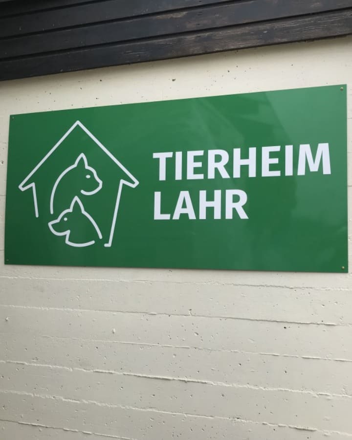 Grünes Schild „Tierheim Lahr“ mit Hund und Katze im Haus-Symbol an der Wand des Tierheims