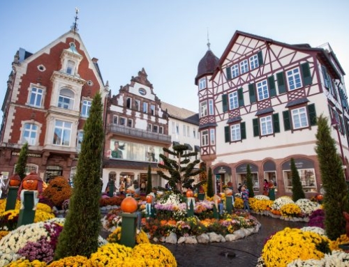 Lahr – Die blühende Stadt zwischen Schwarzwald und Rhein